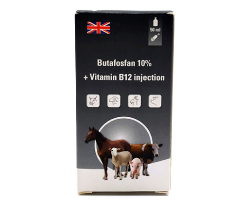 Butafosfan 10% + Vitamin B12 injection