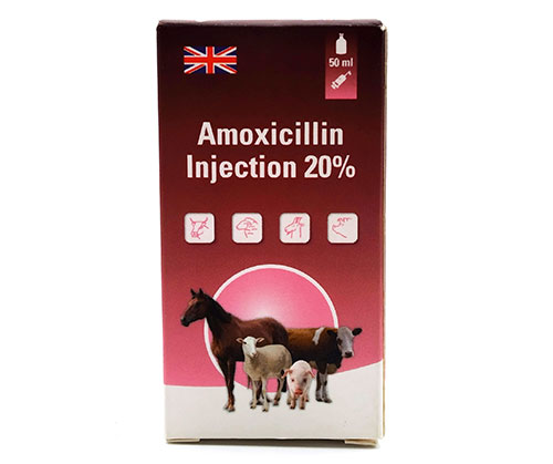 Amoxicillin Injection 20%